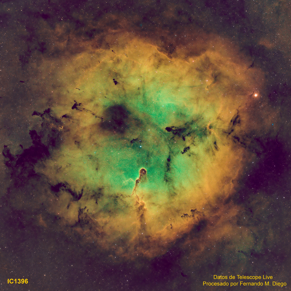 ci1396